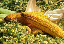 Jetzt Bestellung gewinnen