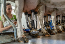 Österreich knackt die 8.000-Kilogramm-Marke