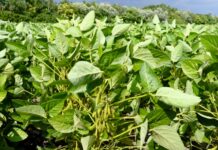 Top-Sortiment in allen Bereichen