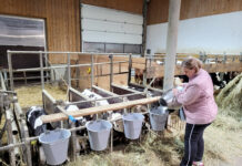 Das Geheimnis des Könnens liegt im Wollen