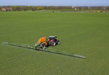 Weizen: Die besten Herbizide zur Anwendung im Frühjahr