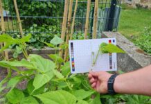 So kann jeder mal ein Forscher sein