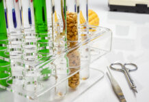 Grüne Gentechnik: Europa diskutiert, Afrika setzt um