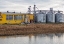 Agrarexport ist für die Ukraine der Hauptdevisenbringer