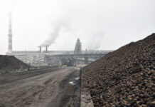 Rübenbauern fürchten Zuckerflut aus der Ukraine