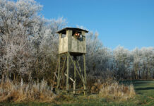 Sieghartsleitner: „Die Jagd ist nichts Elitäres mehr“