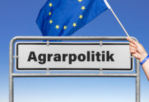 An seinen Taten soll man Hansen messen