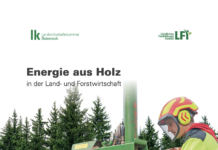 Brennstoffe aus Holz und Heizsysteme im Fokus
