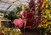 Alles Liebe zum Valentinstag