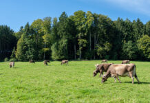 Was bringt Bio mir und meinem Betrieb?