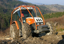 Rundholz trotzt weiter der Krise