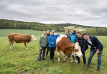 “Cowlearning“ Spiel: Start auf WhatsApp