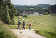 Ein Profit für beide Seiten