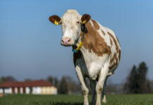 Eine gemeinsame Aufgabe