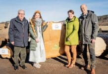 Eiche und Nuss sind weiter im Trend