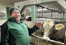 Neuer Laufstall der Marke Eigenbau