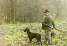 Was das neue Jagdgesetz Kärntens Bauern bringt