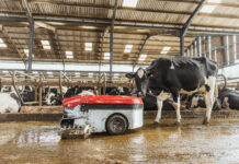 Lely: Leichtes Umsatzminus