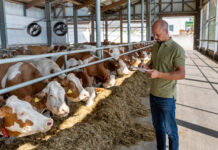 Antibiotika: Keine Routine mehr und keine Prophylaxe