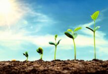 Topsortiment in allen Reifebereichen!