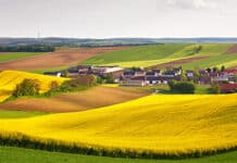 Kwizda Agro Pflanzenschutz-Beratungsvideos 2025