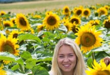 Neue Sonnenblumengenetik mit attraktiver Bestellaktion