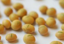 Neue Innovation: Turbosoy® injected Soja