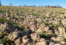 Ausbringverbote enden, aber trotzdem Vorsicht