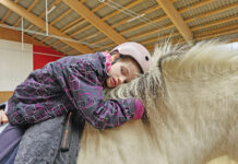 Therapeuten auf vier Beinen