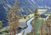 KI für den Waldbau der Zukunft