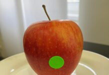 Hagelversicherung: Wie die Allianz-Group bis 2050 klimaneutral wird