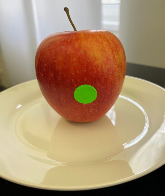 250327 Apfel Erde W