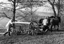 Tiroler Landarbeiterkammer: Seit 75 Jahren für ein faires Arbeiten