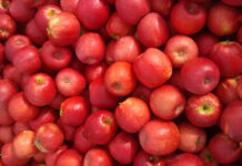 Birkenpollenallergie adé: Neue Therapieansätze mit Äpfeln