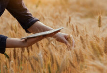 Bäuerinnen im Talk: Chancen digitaler Technologien nutzen