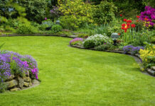 Ein Königreich für perfektes Grün