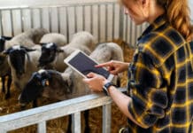 Chancen der Künstlichen Intelligenz für Frauen besser nutzen