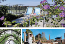 Bald geht es auf ins grüne und blühende Schärding