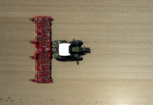 Biomarkt: Erzeuger- versus Verbraucherpreis?