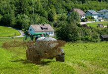 Den Güllestickstoff effizient nutzen