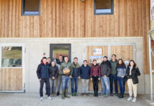 Dies- und jenseits des Brenners