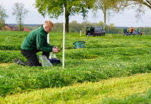 Kleinerer CO2-Rucksack für die Milch