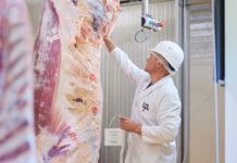 Digitale Klassifizierung in Schlachthöfen