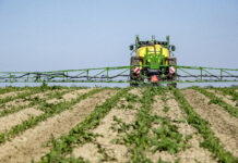 Zweierlei Maß bei Pflanzenschutz?