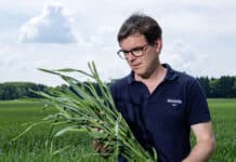 Blattdünger und Biostimulantien: Smarte Strategien für Ihren Erfolg