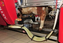 Fendt und Lely führen bei Land- und Tierhaltungstechnik