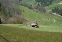 Wiesen rechtzeitig düngen