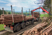 Holzmarkt März ´25: Ladenhüter Industrieholz