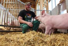 OÖ Agrarpreis: Pioniere gesucht