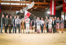 Tiroler Jungzüchter zeigten sich unschlagbar